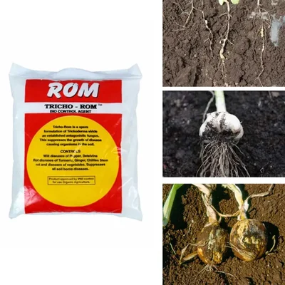 ROM 3 kg Trichoderma Harzianum Bio fungicide | Bio Control Agent